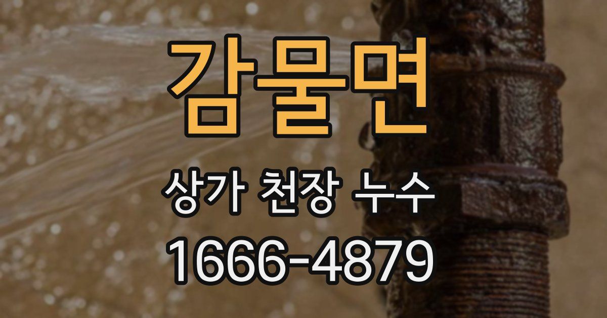감물면 상가 천장 누수