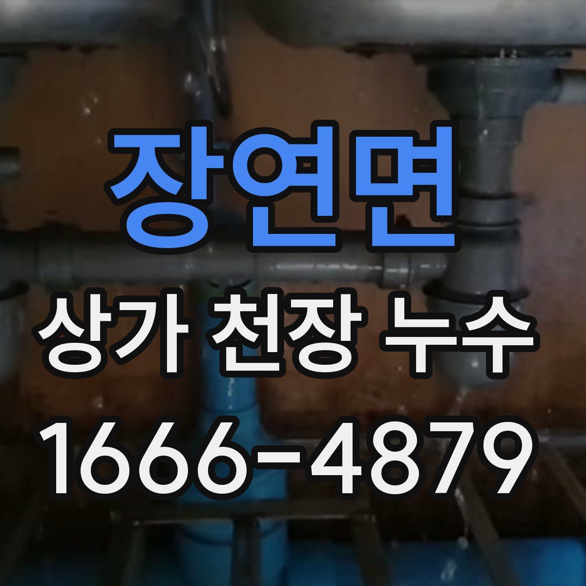 장연면 상가 천장 누수