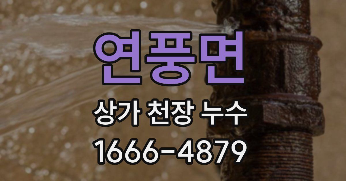 연풍면 상가 천장 누수