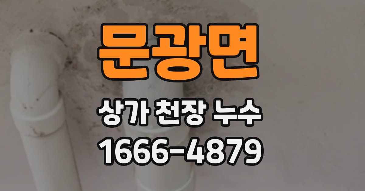 문광면 상가 천장 누수