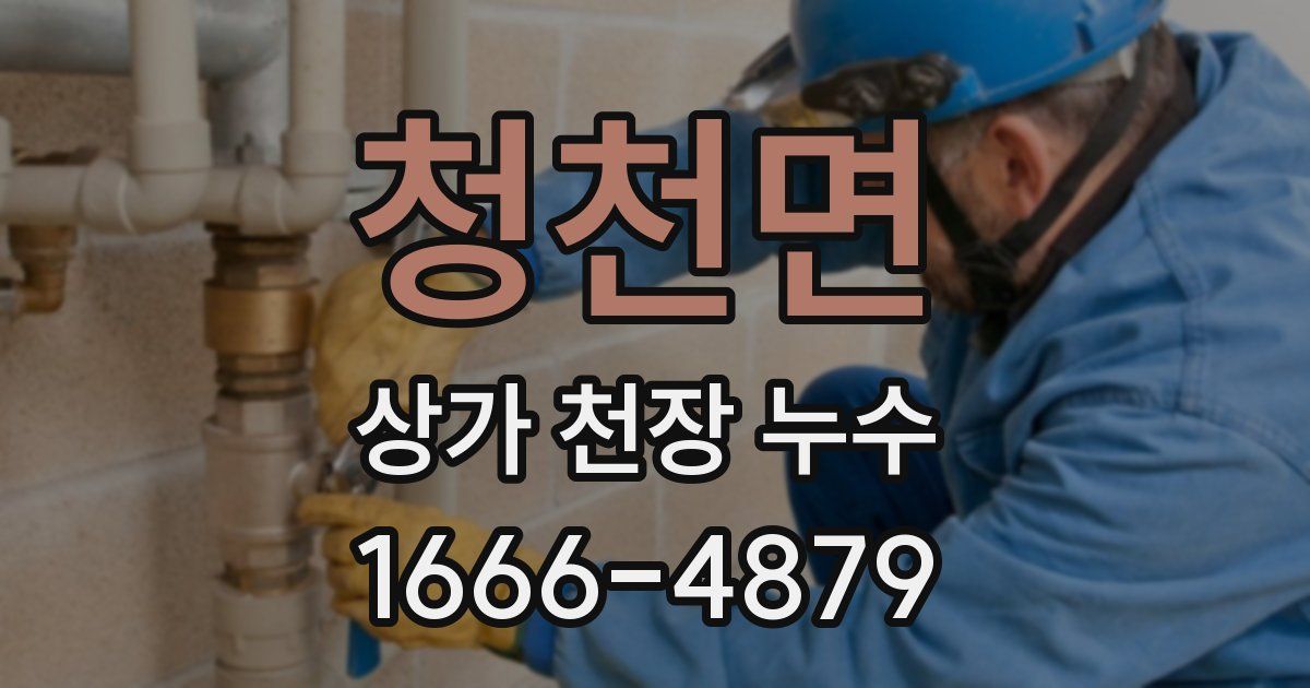 청천면 상가 천장 누수