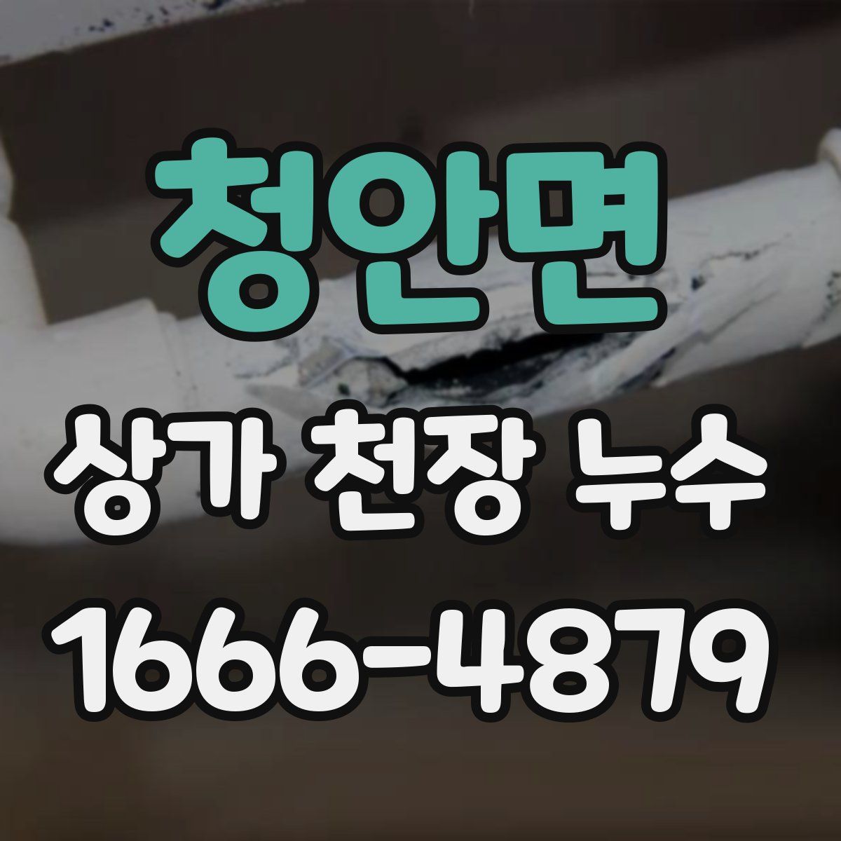 청안면 상가 천장 누수