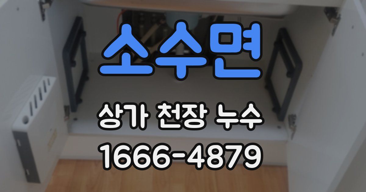 소수면 상가 천장 누수