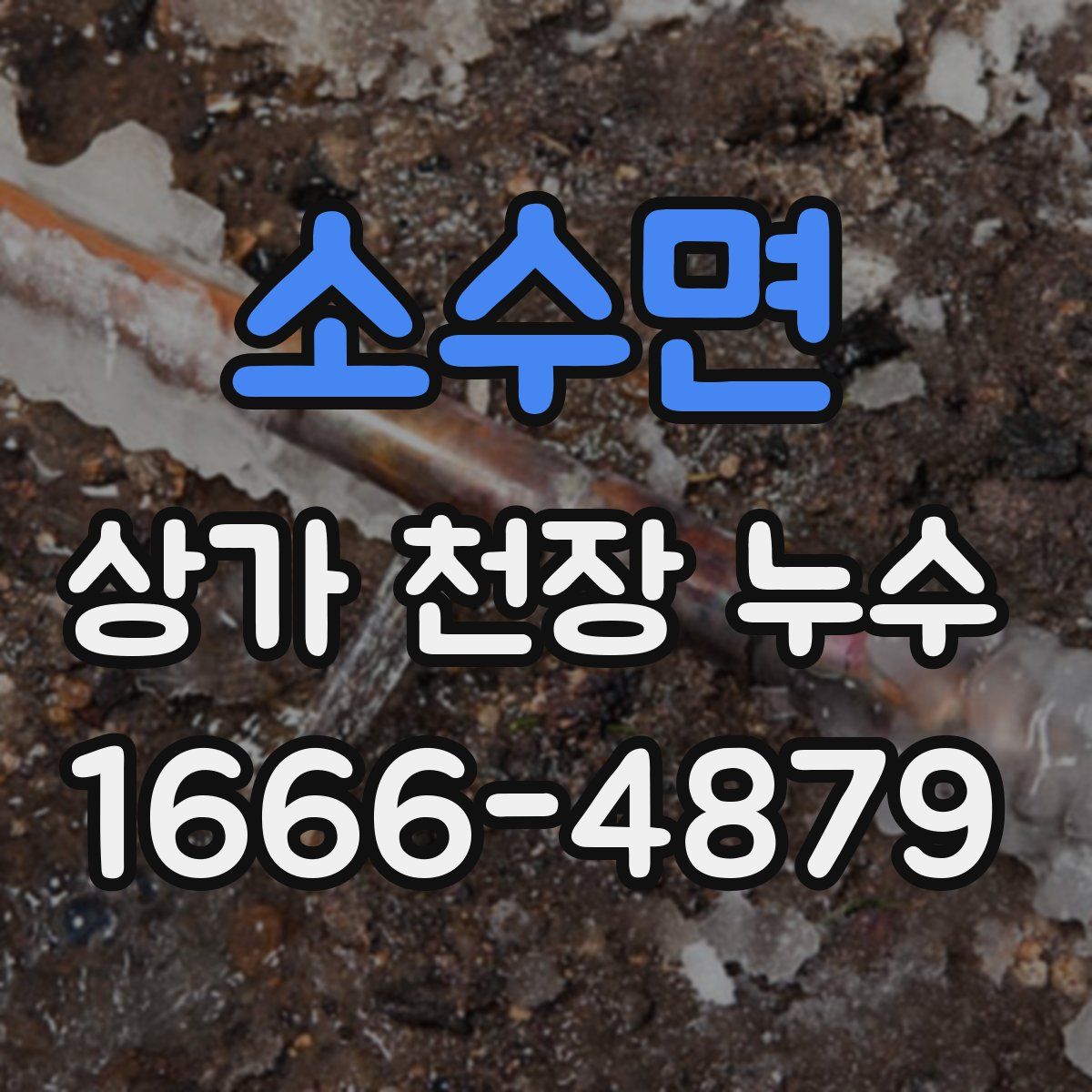 소수면 상가 천장 누수