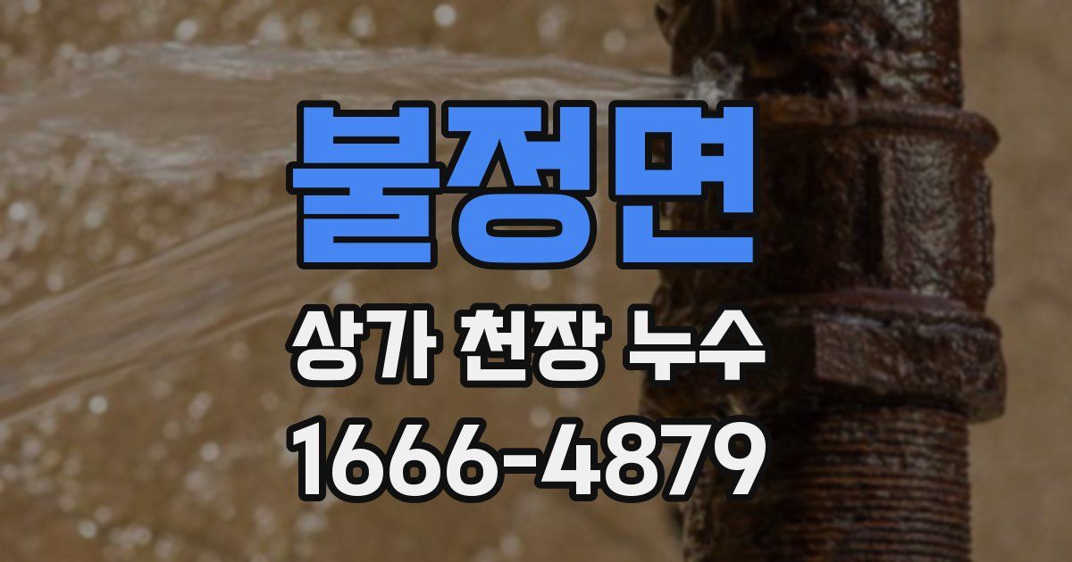 불정면 상가 천장 누수