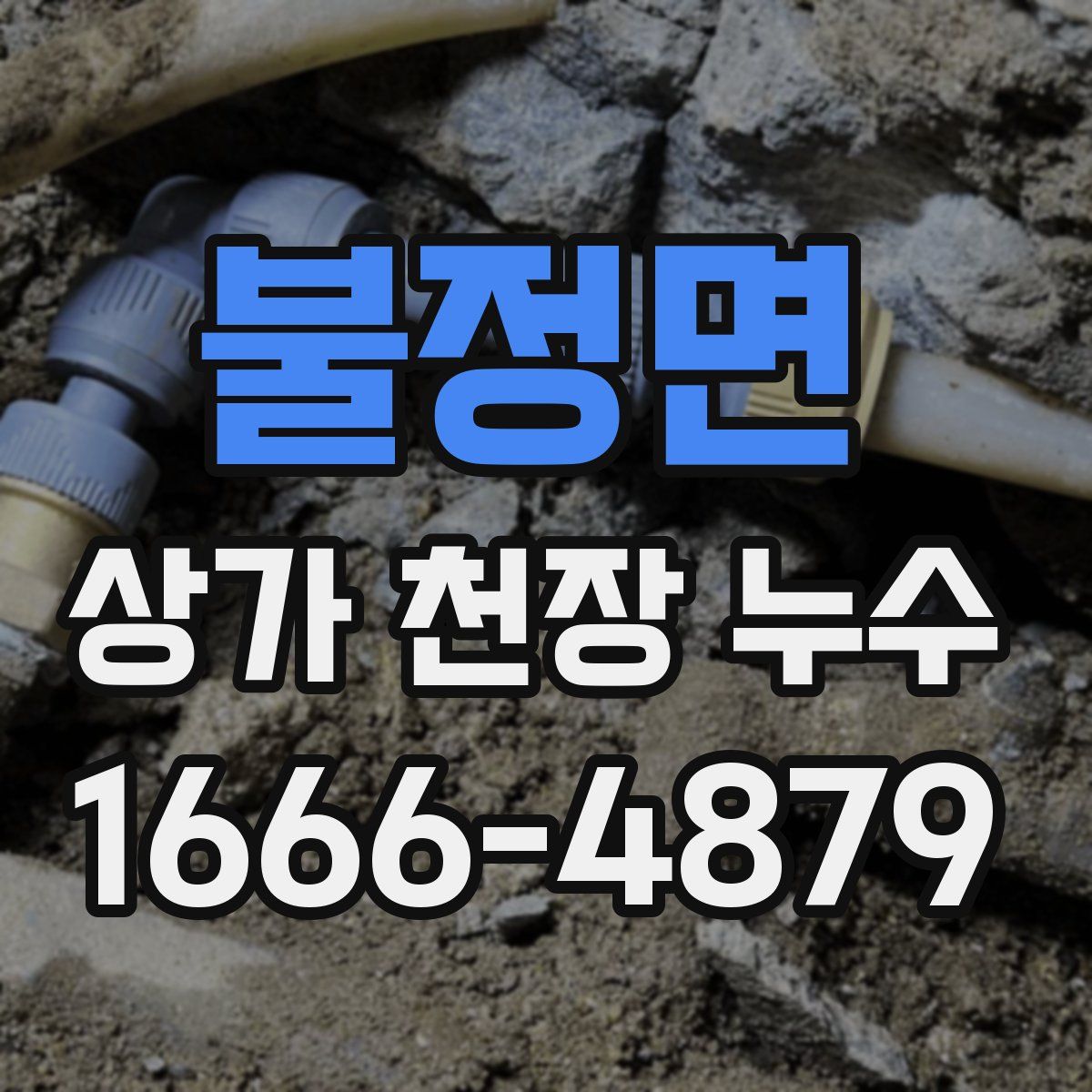 불정면 상가 천장 누수