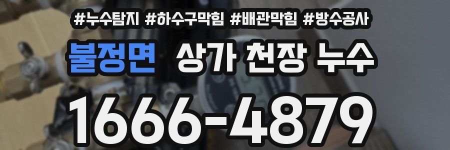 불정면 상가 천장 누수