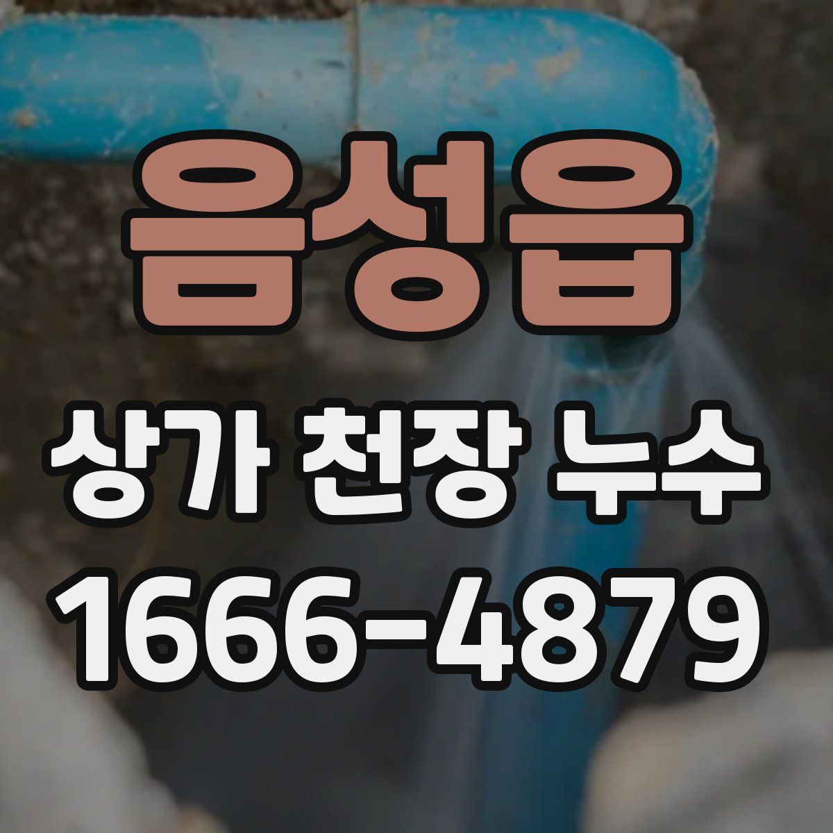 음성읍 상가 천장 누수