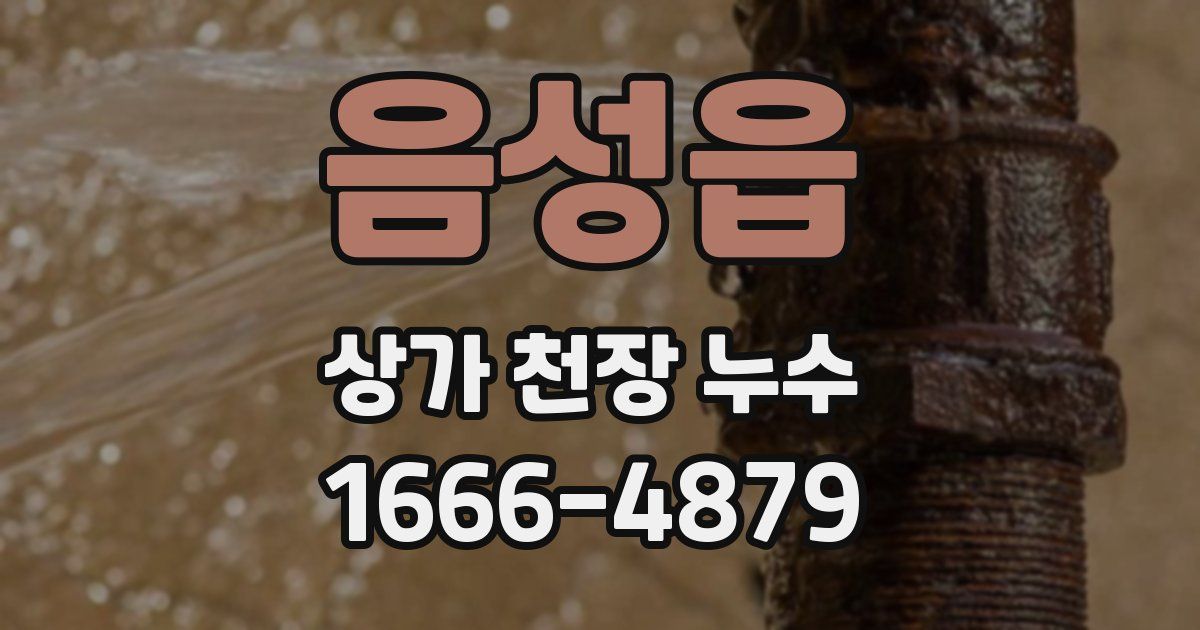 음성읍 상가 천장 누수