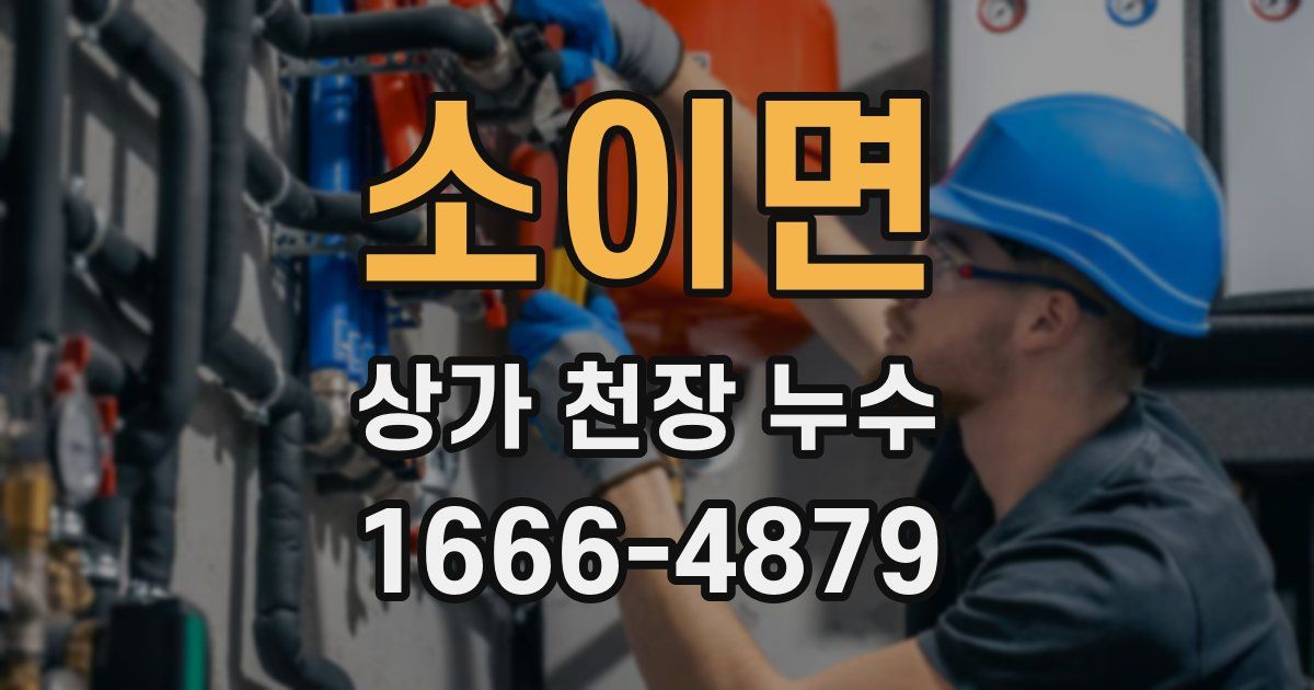 소이면 상가 천장 누수