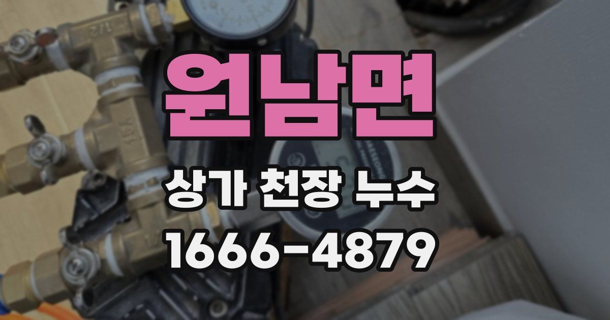 원남면 상가 천장 누수