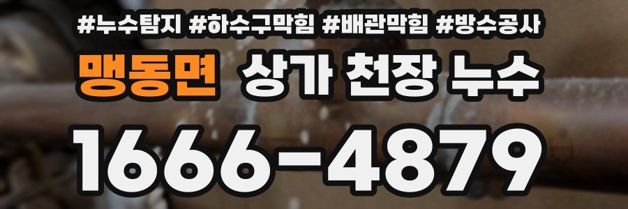 맹동면 상가 천장 누수