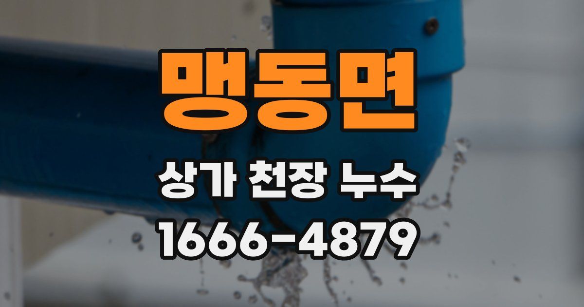 맹동면 상가 천장 누수