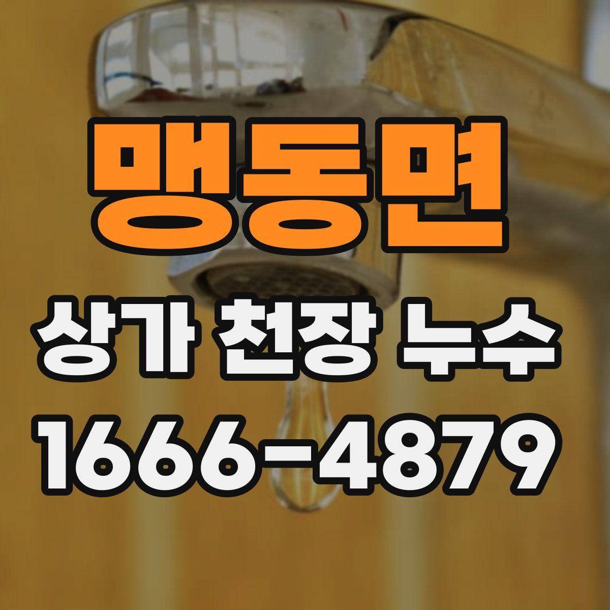 맹동면 상가 천장 누수