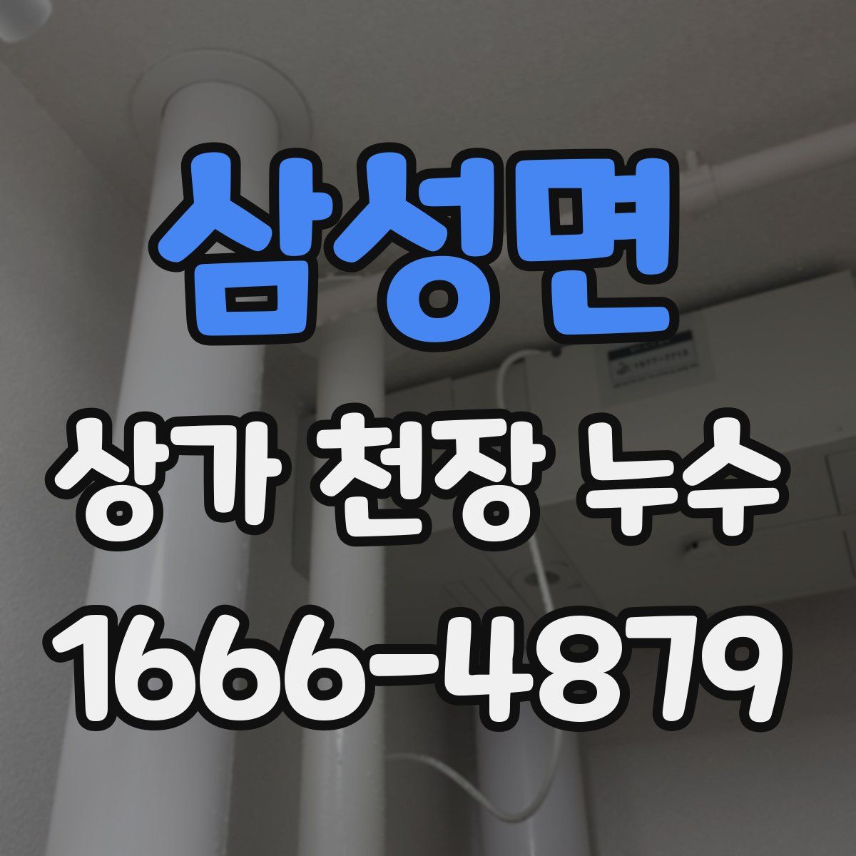 삼성면 상가 천장 누수