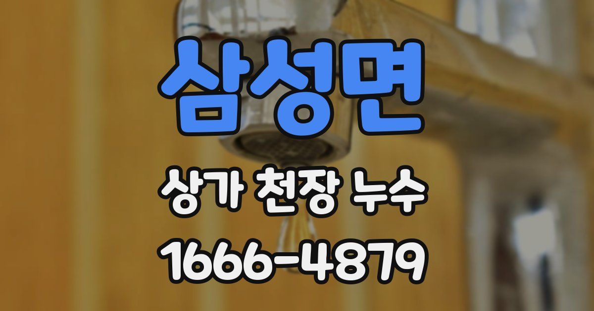 삼성면 상가 천장 누수
