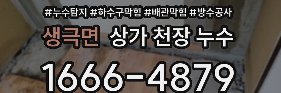 생극면 상가 천장 누수