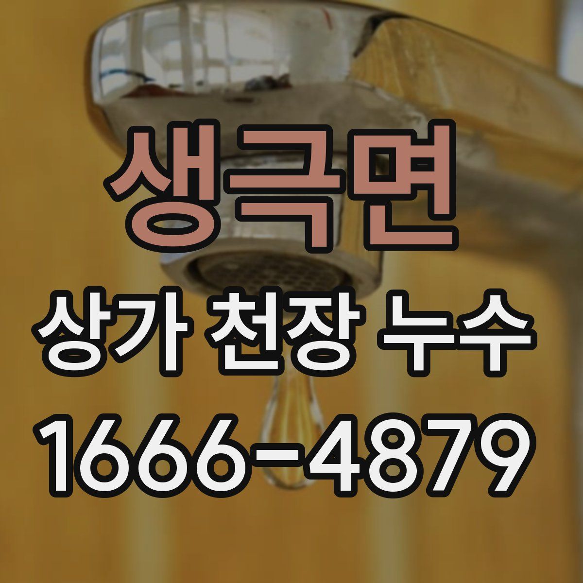 생극면 상가 천장 누수