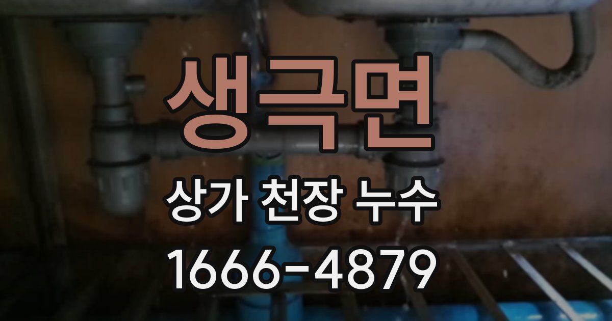 생극면 상가 천장 누수