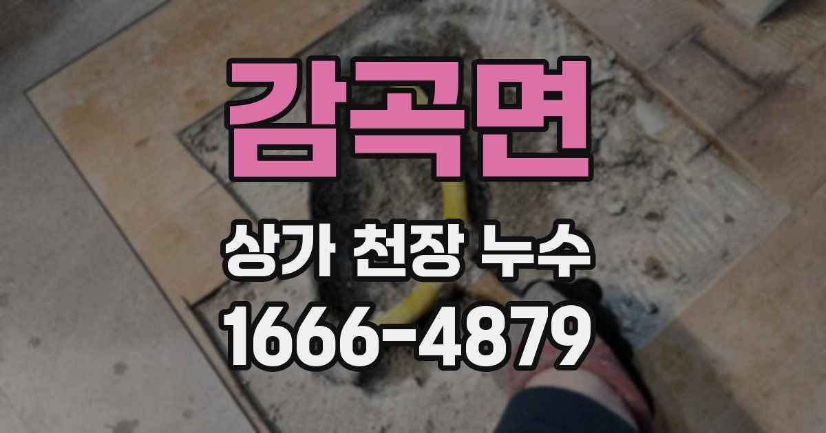 감곡면 상가 천장 누수