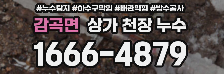 감곡면 상가 천장 누수
