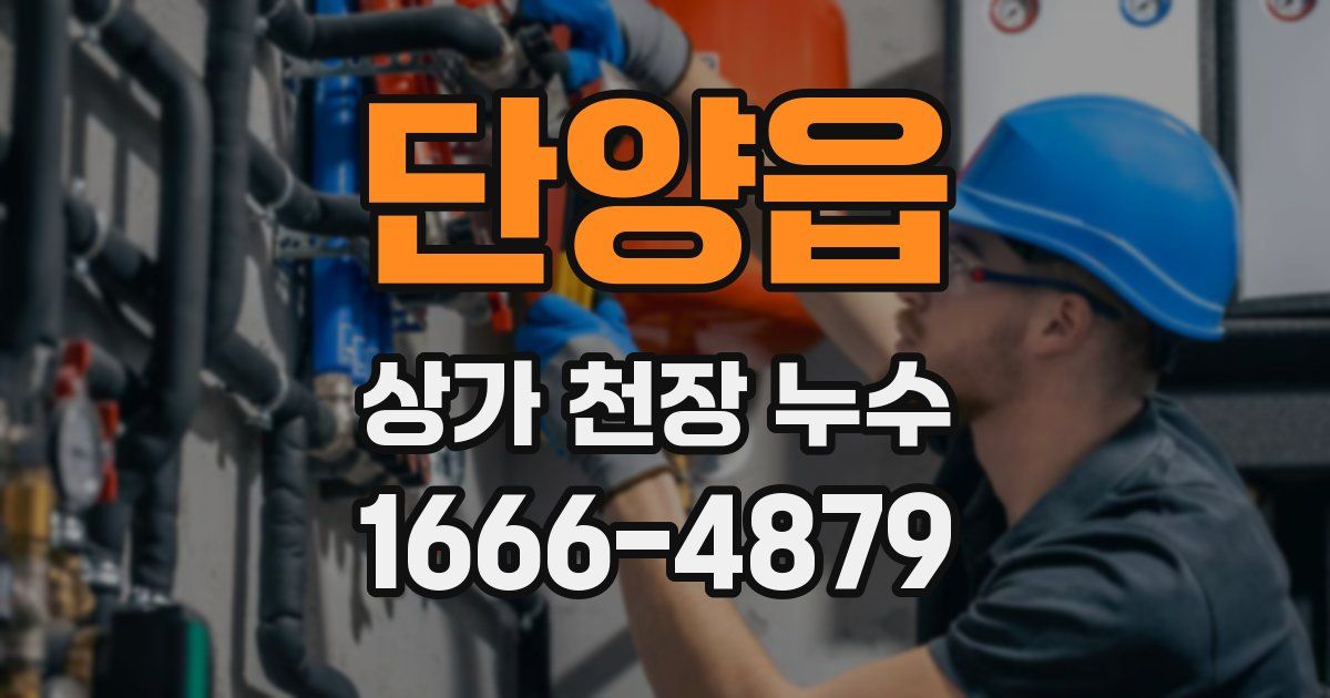 단양읍 상가 천장 누수