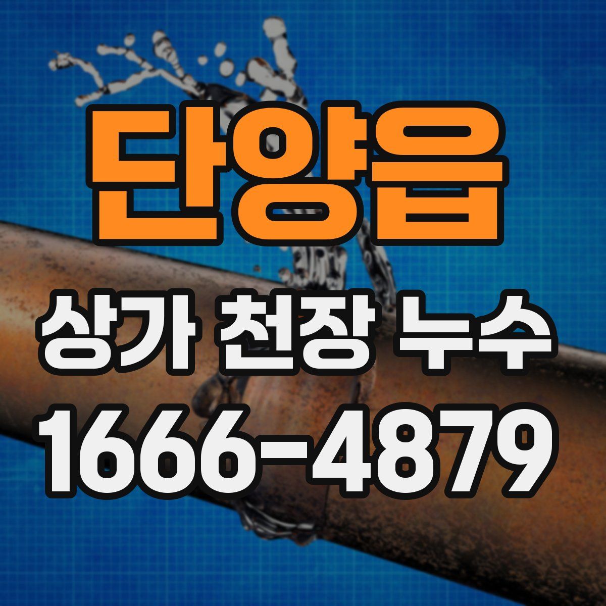 단양읍 상가 천장 누수