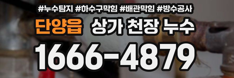단양읍 상가 천장 누수