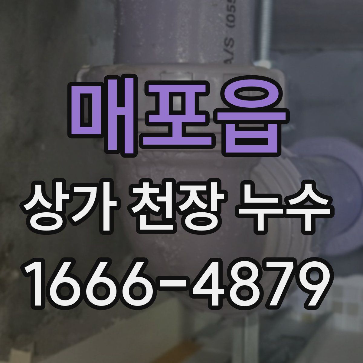 매포읍 상가 천장 누수