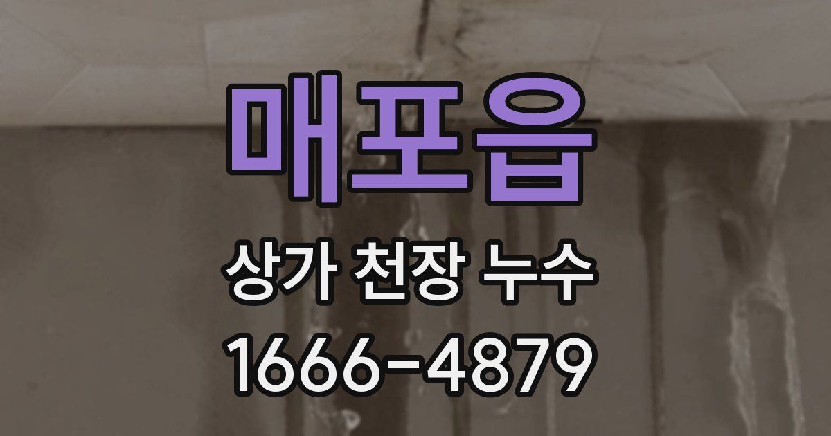 매포읍 상가 천장 누수