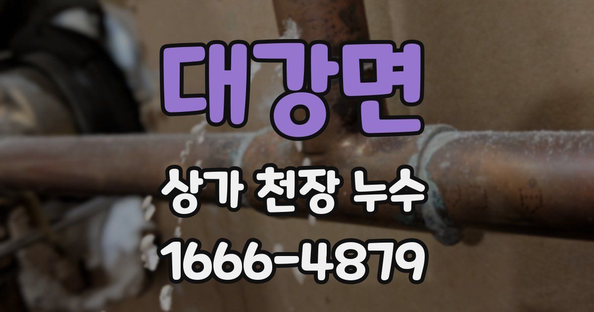 대강면 상가 천장 누수