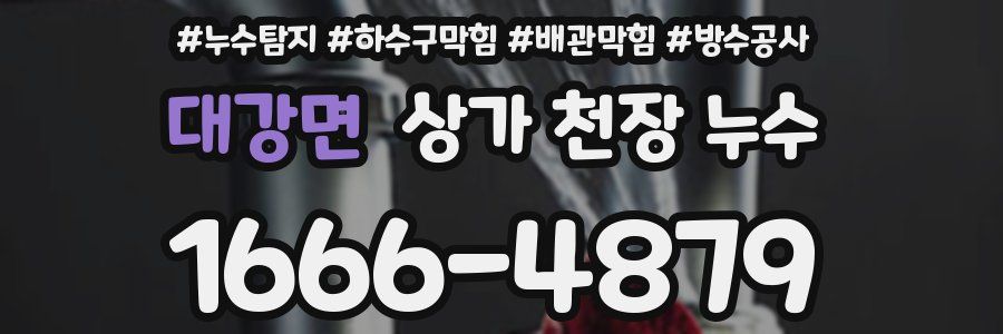 대강면 상가 천장 누수