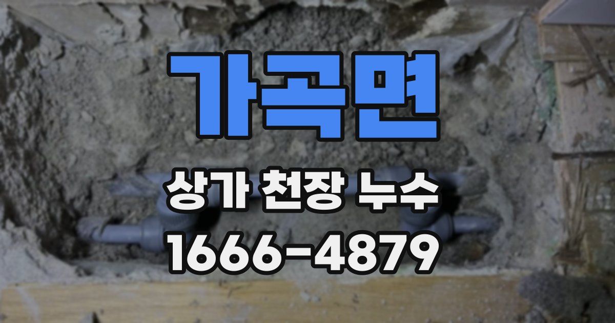 가곡면 상가 천장 누수
