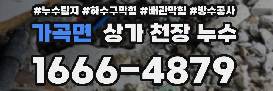 가곡면 상가 천장 누수