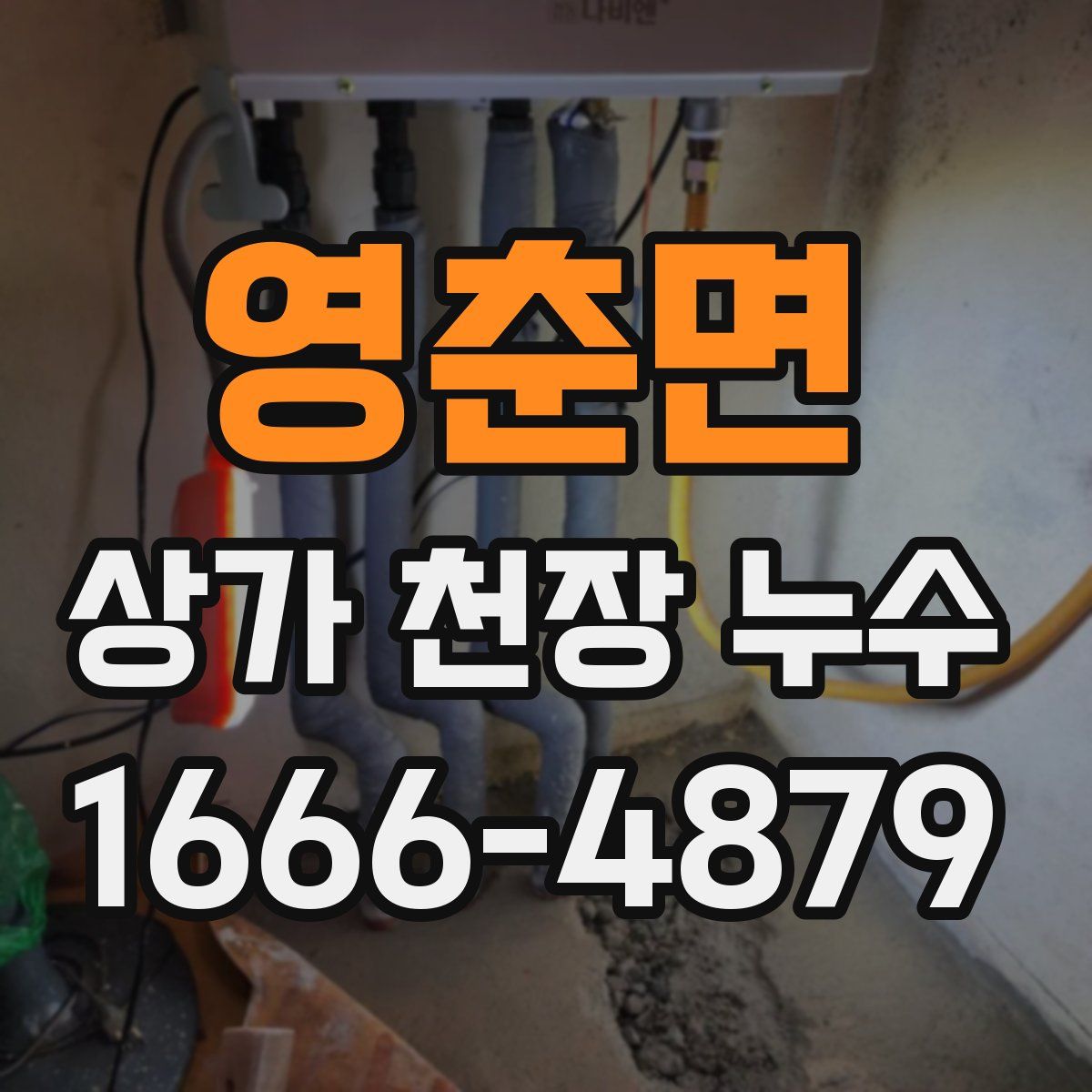 영춘면 상가 천장 누수