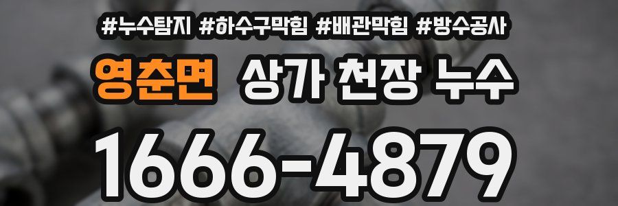 영춘면 상가 천장 누수