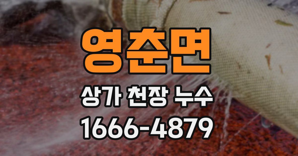 영춘면 상가 천장 누수