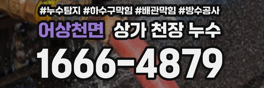 어상천면 상가 천장 누수