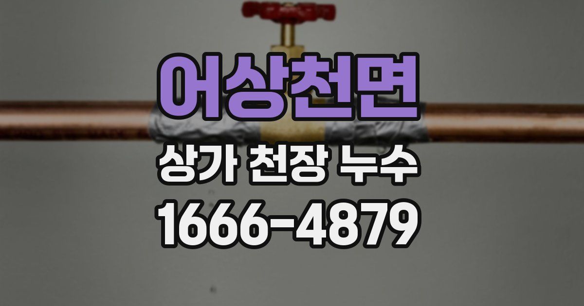 어상천면 상가 천장 누수