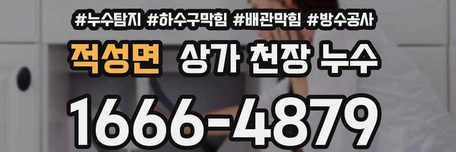 적성면 상가 천장 누수