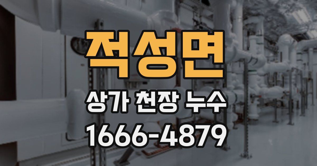 적성면 상가 천장 누수