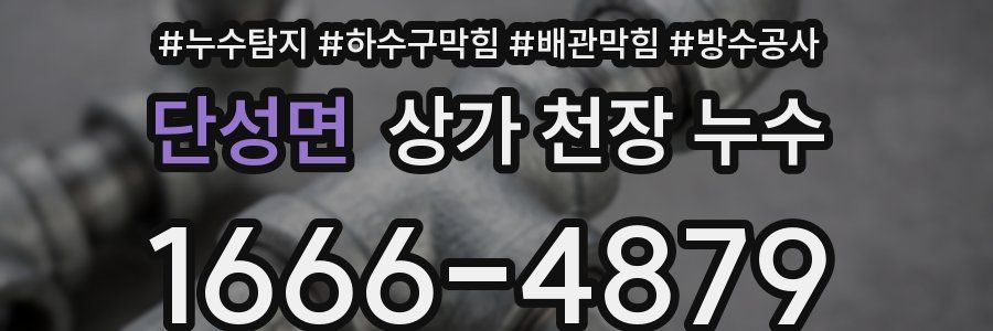 단성면 상가 천장 누수