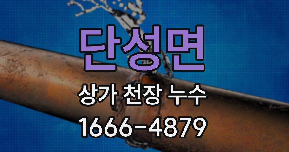 단성면 상가 천장 누수