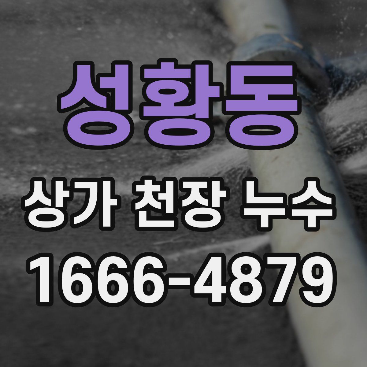 성황동 상가 천장 누수