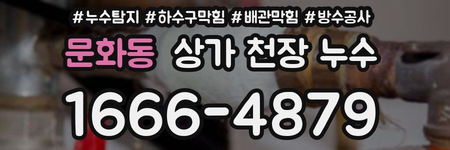 문화동 상가 천장 누수