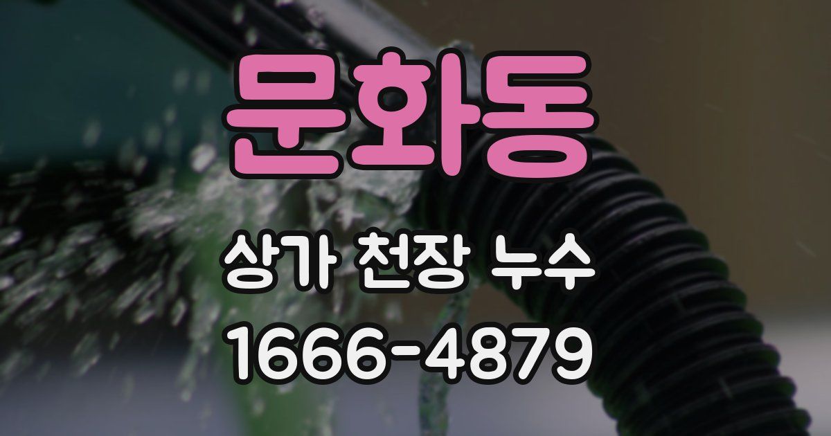 문화동 상가 천장 누수
