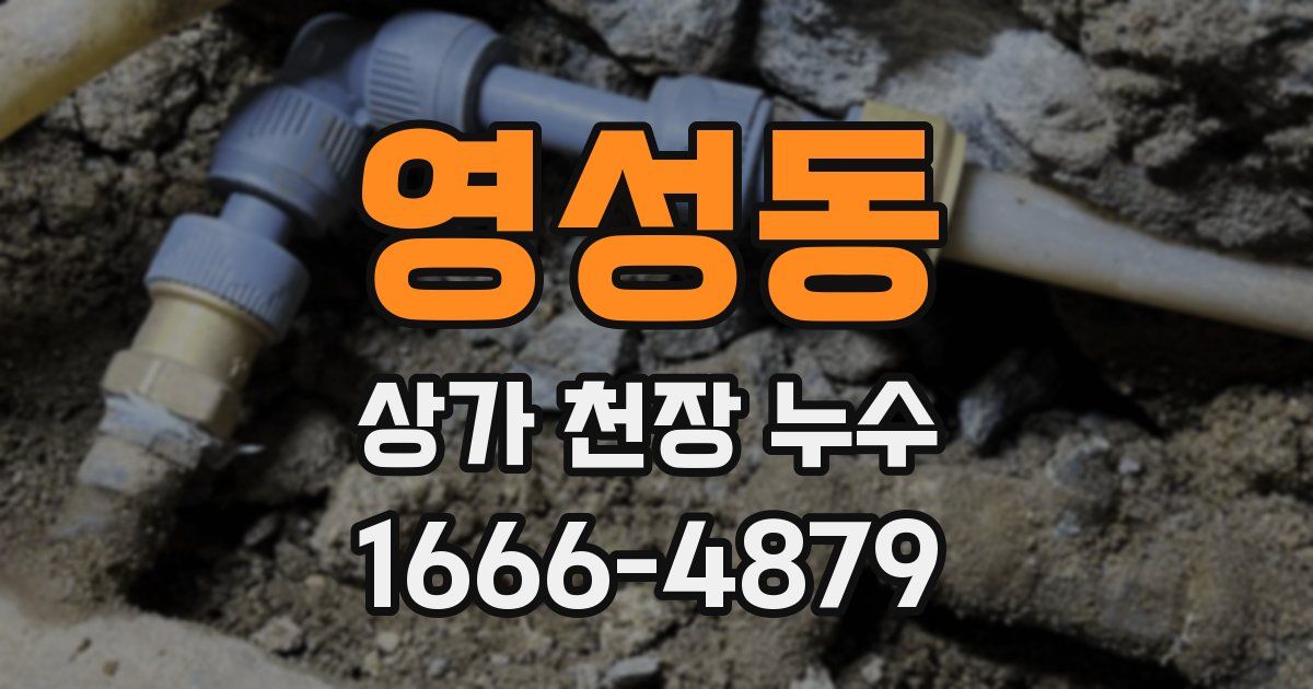 영성동 상가 천장 누수