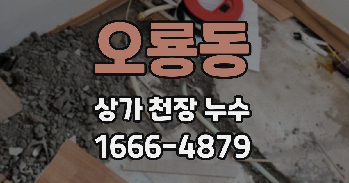 오룡동 상가 천장 누수