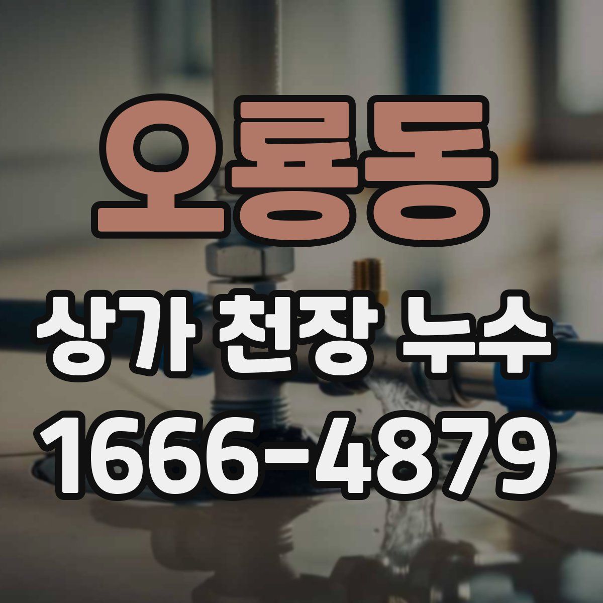 오룡동 상가 천장 누수