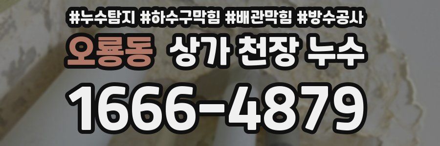 오룡동 상가 천장 누수